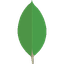 MongoDB